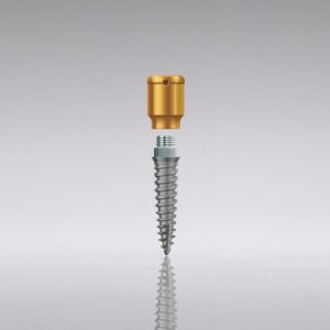 LODI Mini-Implantat, Ø 2.4, L 10, GH 4.0
